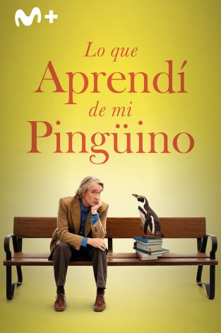 Lo que aprendí de mi pingüino