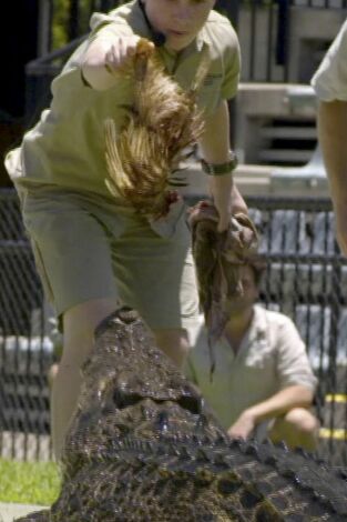 The Irwins: El legado de Steve sigue vivo