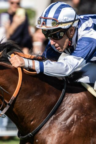 Magic Martínez. El último galope