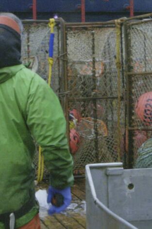 Pesca radical: Sobre el raíl