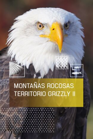 Montañas rocosas, territorio grizzly 2