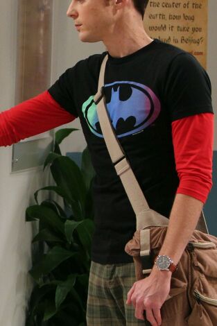 Big Bang (T4): Ep.7 La insuficiencia de la disculpa