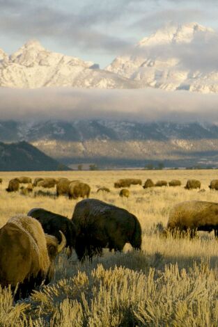 Parques Nacionales de América: Badlands