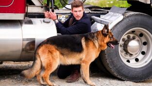 Hudson y Rex (T4): Ep.6 El puente del muerto