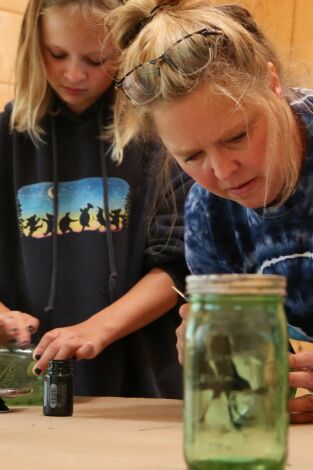 Restauradores de cabañas: Ayuda de las ranas amigas