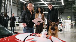 Hudson y Rex (T2): Ep.8 Rex Machina