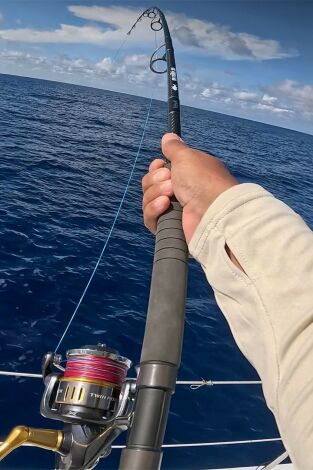 Seychelles Spedition Coitibi