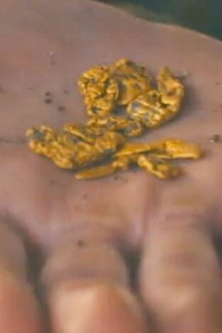 La fiebre del oro: Sucesión