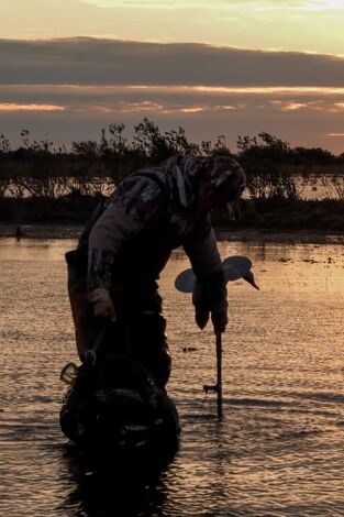 Locos por el 20. Especial Argentina: Patos de isla