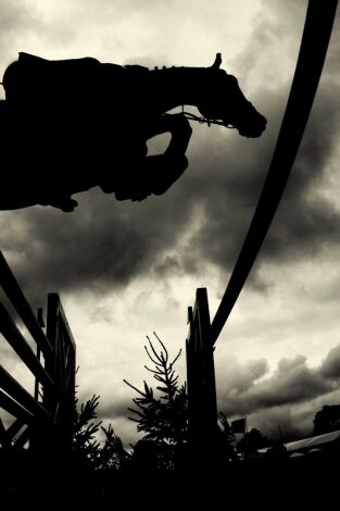 Alfursan Endurance AlUla Equestrianism