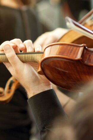 Concierto víctimas del terrorismo