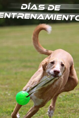 Día de entrenamiento