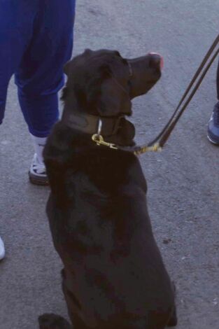 Control de fronteras: España: Episodio 10