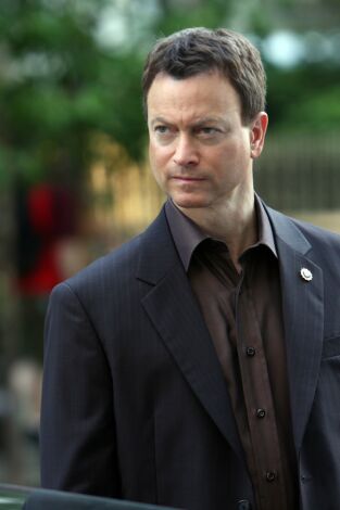 C.S.I. NY (T5): Ep.8 Me llamo Mac Taylor