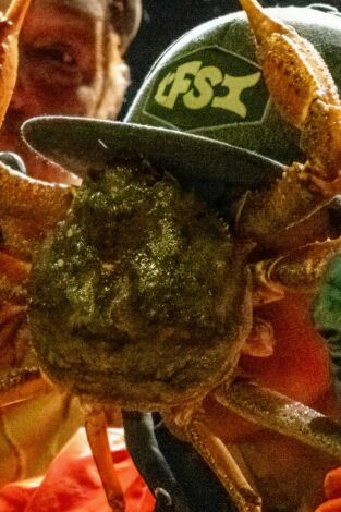 Pesca radical: Cebo para la ira