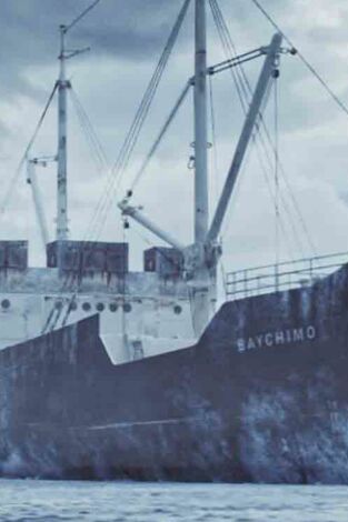 El triángulo de Alaska: Vuelo 1628 y un pájaro monstruoso