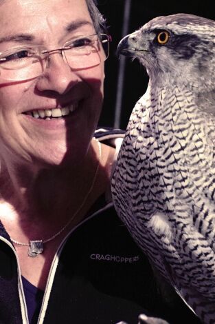 ¿Cómo lo hacen? Mundo animal: Gatos psíquicos y nutrias peludas