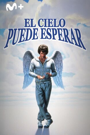El cielo puede esperar
