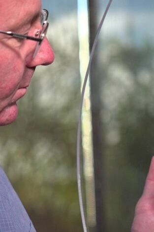 ¿Cómo lo hacen? Mundo animal: Hienas hambrientas y delfines inteligentes