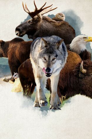 América: paisajes extraordinarios: Oeste Salvaje