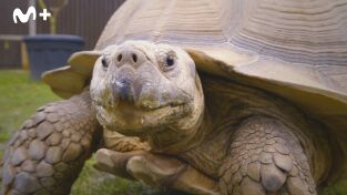 One Zoo Three: Sonrisas sensacionales