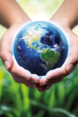 Elles plantent, plantons!