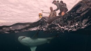 Los últimos gigantes: Episodio 4