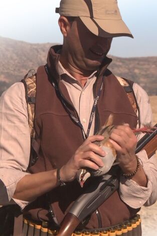 Un buen año de perdiz