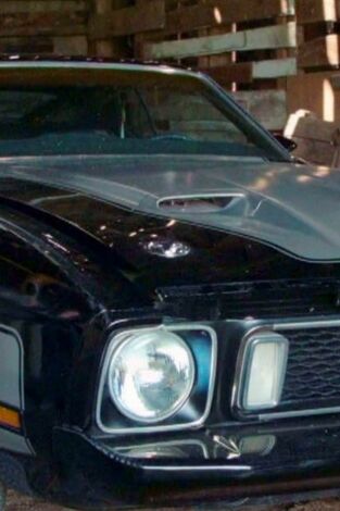 Joyas sobre ruedas: Ford Mustang Mach 2