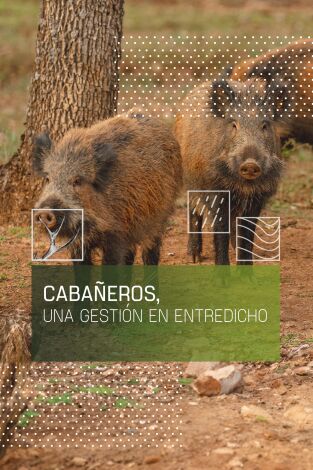 Cabañeros, una gestión en entredicho