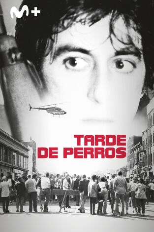 Tarde de perros