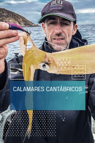Calamares cantábricos