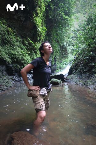 Mundos inexplorados con Steve Backshall: Gabón: expedición al paraíso selvático