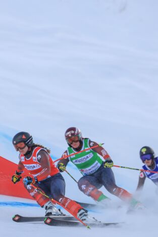 Copa del mundo de esquí acrobático - Montafon (T25/26): Campo a través