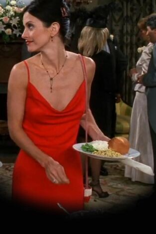 Friends (T5): Ep.1 El de después de que Ross dijera Rachel