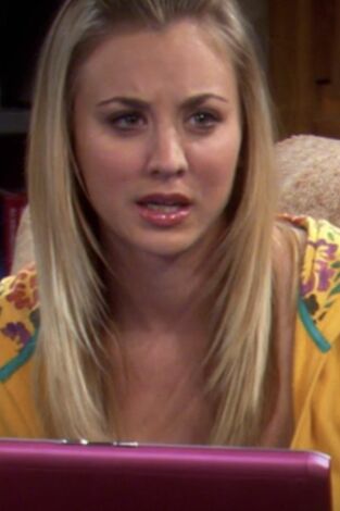 Big Bang (T2): Ep.13 El algoritmo de la amistad