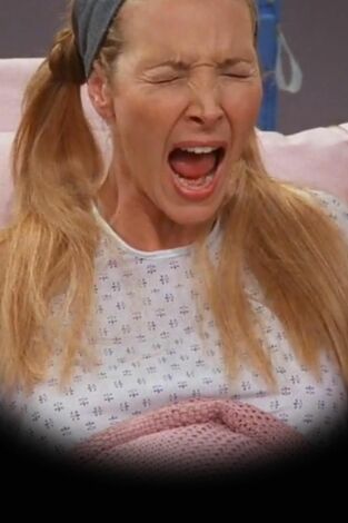 Friends (T5): Ep.3 El capítulo cien