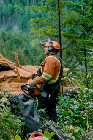 Los últimos leñadores: Jared contra Goliats
