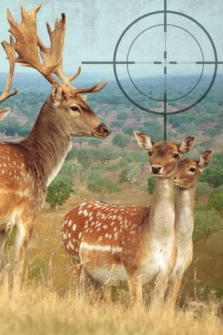 Montería San Marcos, la aventura lusa