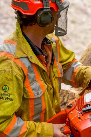 Los últimos leñadores: Extremidades rotas