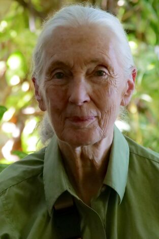 Jane Goodall: nueva generación