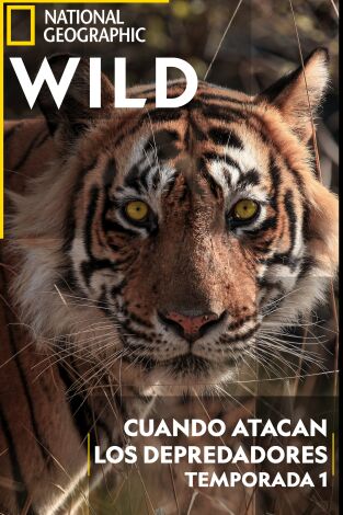 Cuando atacan los depredadores: Superserpientes