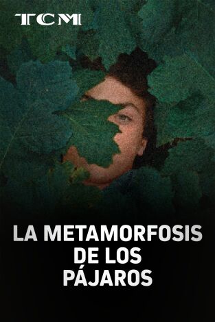 La metamorfosis de los pájaros