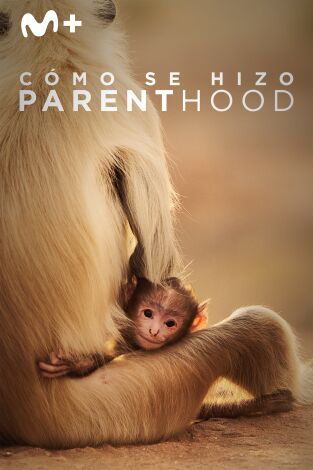 Cómo se hizo Parenthood