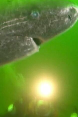 ¿Cómo lo hacen?: Episodio 1