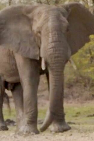 Aventura en pelotas: Apocalipsis: Infierno, vete al infierno