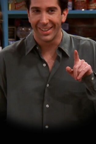 Friends (T5): Ep.19 En el que Ross no sabe ligar