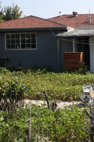 Flip o flop: La casa de la diversión