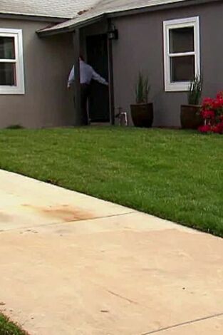 Flip o flop: Un diamante en bruto