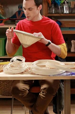 Big Bang (T8): Ep.12 La desintegración de la sonda espacial